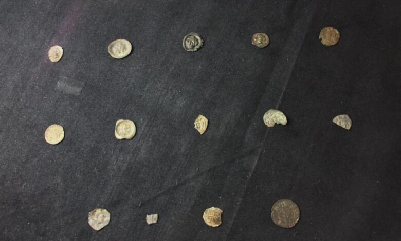 The rare 600-year-old silver coins found beneath a church in Edøya.