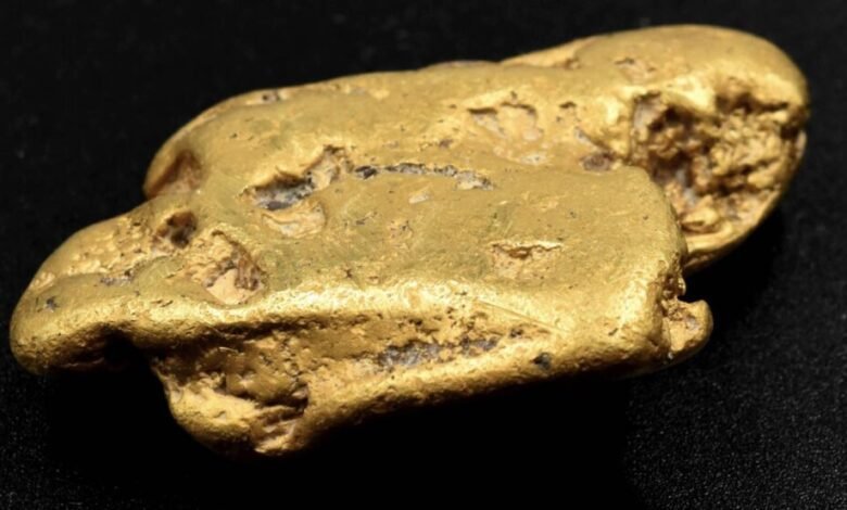 Despite a broken metal detector, treasure hunters discover the largest nugget of gold ever found in England