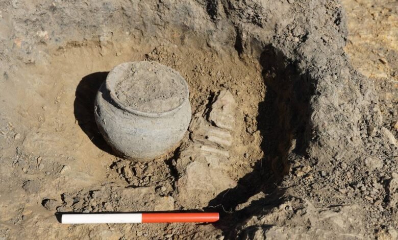 An intact ancient Roman pot was unearthed at Smallhythe.