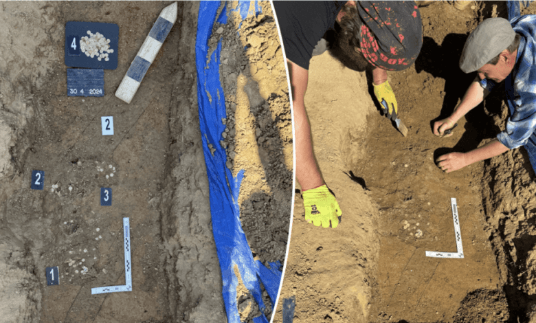 According to experts, the discovery of the treasure is one of the largest archaeological finds of the last 10 years. Photo: Institute of Archaeology of the Academy of Sciences of the Czech Republic
