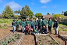 Treasure Found: Monterey County Garden Network (and 8 Summer Gardening Tips)